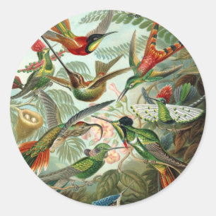 アメリカ産のハミングする鳥絵を描12種 ラウンドシール