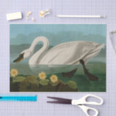 アメリカ産の一般的な白鳥アウドゥボン 薄葉紙 (クラフト)