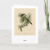 アメリカ産の有毛鳥類 カード (裏面)