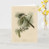アメリカ産の有毛鳥類 カード (黄色い花)