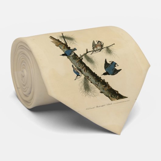 アメリカ産の白い胸を張ったナサッチ・オードボンの鳥 ネクタイ (ロール)