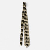 アメリカ産の白頭（ハゲのワシ）オードボンバード ネクタイ (裏面)