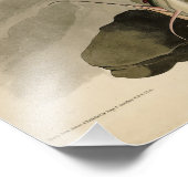 アメリカ産の白頭(ハゲのワシ)オードボンバード フォトプリント (角)