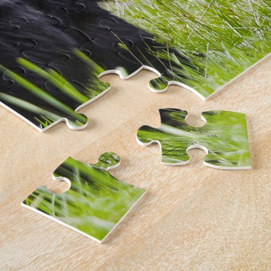 アメリカ産ブラックベアーズ。 ジグソーパズル (側面)