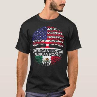 アメリカ産メカルーツメコ国旗のプルオーバー Tシャツ