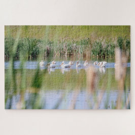 アメリカ白ペリカン ジグソーパズル