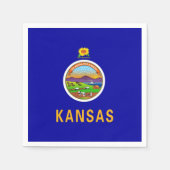 アメリカ紙ナプキンとカンザス州旗 スタンダードカクテルナプキン (正面)