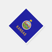 アメリカ紙ナプキンとカンザス州旗 スタンダードカクテルナプキン (角)