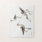 アメリカ素晴らしのアボケッツビーチ ジグソーパズル (縦)