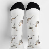 アメリカ素晴らしのアボケッツビーチ ソックス (上部)