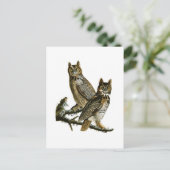 アメリカ素晴らしのオードボンバード ポストカード (スタンド正面)