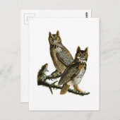 アメリカ素晴らしのオードボンバード ポストカード (正面/裏面)