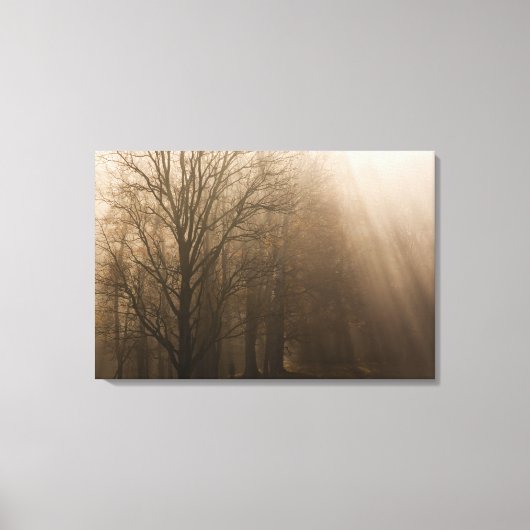 アメリカ素晴らしスモークマウンテンNPテネシーの木々 キャンバスプリント (正面)