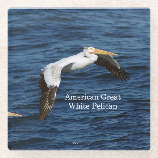 アメリカ素晴らしホワイトペリカンガラスコースター ガラスコースター (正面)