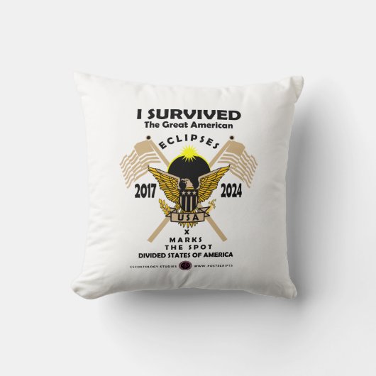 アメリカ素晴らし食 クッション (正面)