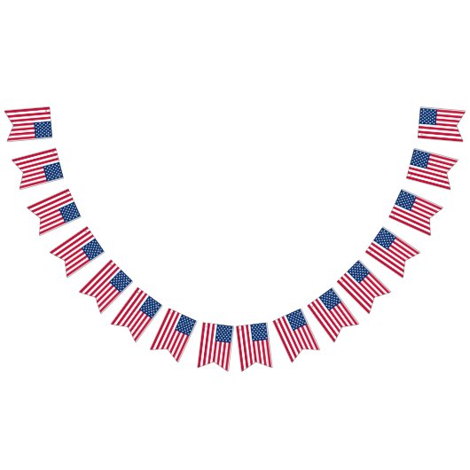 アメリカ結婚人 バンティングフラッグ (全)