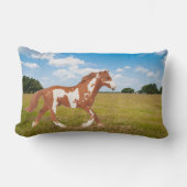 アメリカ絵を描の馬 ランバークッション (正面)