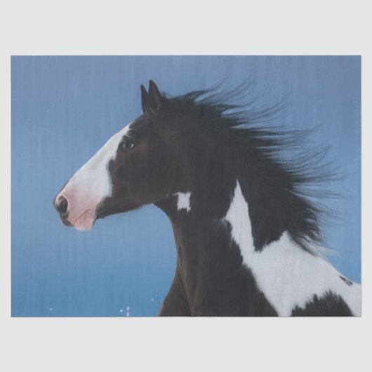 アメリカ絵を描の馬 薄葉紙 (正面)