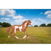 アメリカ絵を描の馬 Tシャツ