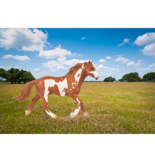 アメリカ絵を描の馬 Tシャツ