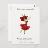 アメリカ美しいバラお洒落フラワーズブックアート ポストカード (正面/裏面)