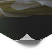 アメリカ美しい、フローラ黄プルメリア ポスター (角)