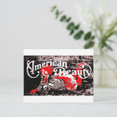 アメリカ美しい ポストカード (スタンド正面)