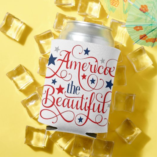 アメリカ美 缶クーラー (インサイチュ 夏)