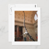 アメリカ自然史博物館 ポストカード (正面/裏面)