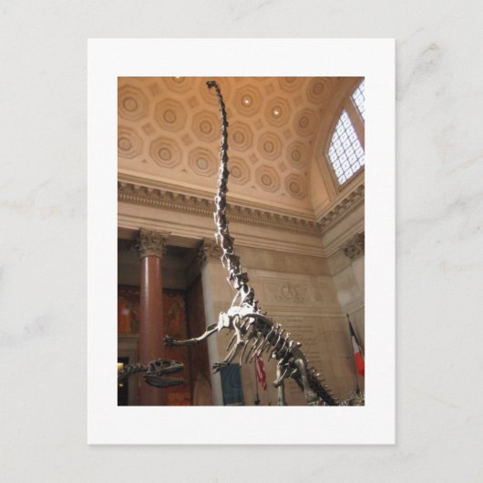 アメリカ自然史博物館 ポストカード (正面)