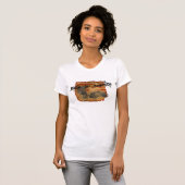 アメリカ製のシャツ Tシャツ (正面フル)