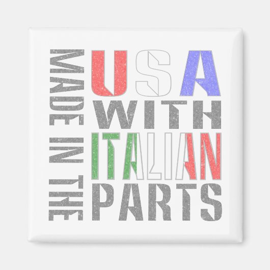 アメリカ製 イタリア部品使用 マグネット (正面)