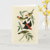 アメリカ西部の緋色のタネジャーズ・オードボン・バード カード (黄色い花)