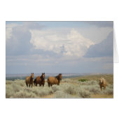 アメリカ西部の馬 (正面横)