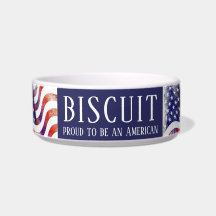 アメリカ誇りを持った合衆国の国旗になる