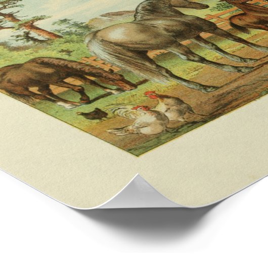 アメリカ農家ヴィンテージプリントウズドッグ ポスター (角)