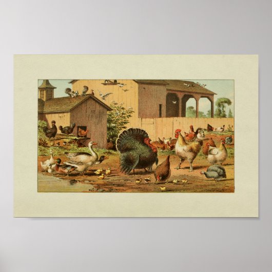 アメリカ農家ヴィンテージプリントターキーダックス ポスター (正面)