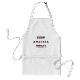 アメリカ選挙パーティー集! スタンダードエプロン