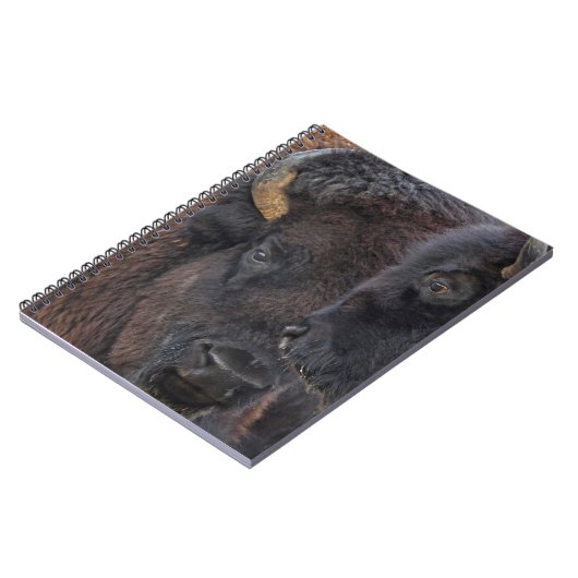 アメリカ野牛の担保付きの組Bullおよび牛 ノートブック (左側)