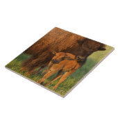 アメリカ野牛牛および子牛、ノースダコタ タイル (側面)