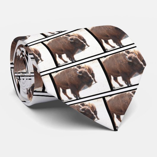 アメリカ野牛 ネクタイ (ロール)
