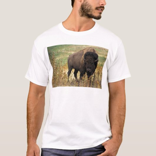 アメリカ野牛 Tシャツ (正面)