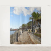 アメリカ領バージン諸島 セントクロイ島の美しい水辺 タペストリー (正面)