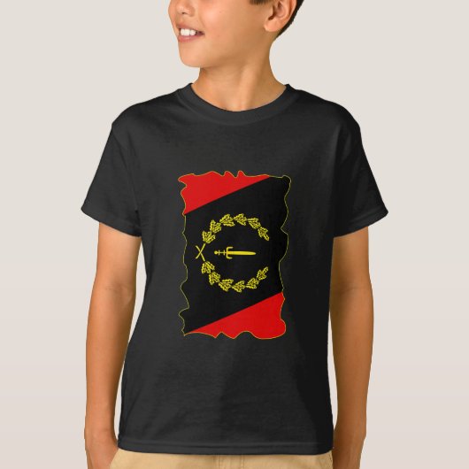 アメリカ黒伝統国旗アメリカ・アフリカ・ヘリ Tシャツ (正面)