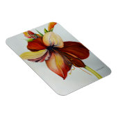 アメリカ2018 マグネット (右側)