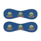 アメリカ・アイダホ州旗を持つ愛国野球 野球ボール (パネル)