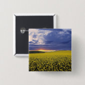 アメリカ、アイダホ、スワンバレー。炎のような夕焼けが出る 缶バッジ (正面&裏面)