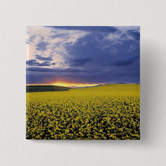 アメリカ、アイダホ、スワンバレー。炎のような夕焼けが出る 缶バッジ (正面)