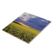 アメリカ、アイダホ、スワン・バレー。炎々たる夕日が立つ タイル (側面)