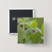 アメリカ、アラスカ州、グレイシャーベイ国立公園 缶バッジ (正面&裏面)